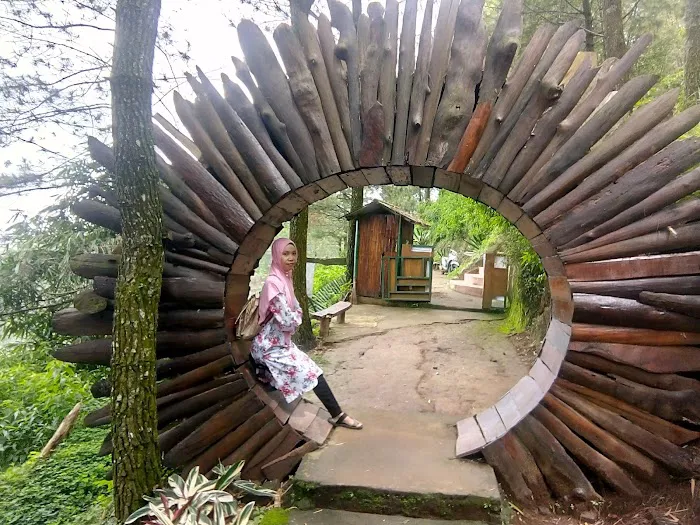Goa Pinus 4