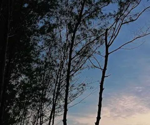 Pantai padelegan