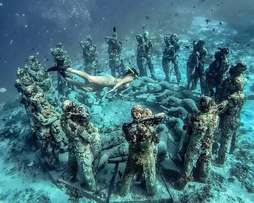 Discover Indonesian Marine Life with Luxury Yacht Tours: Explore the Best Diving and Snorkeling Spots