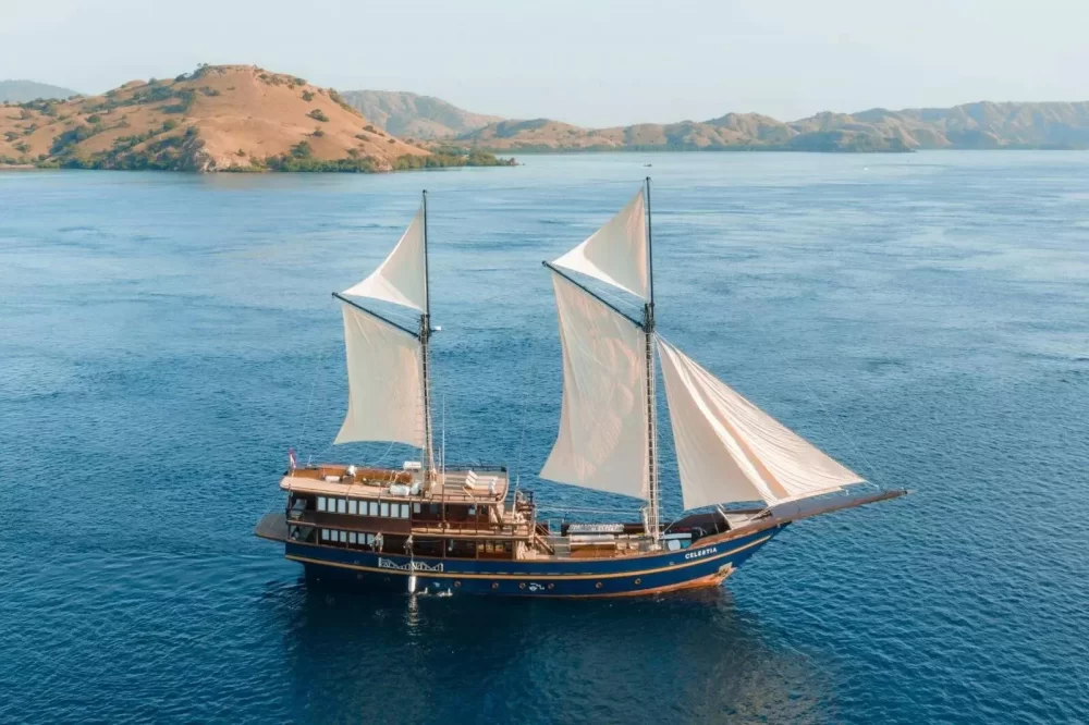 Best Private Charters for Exploring Indonesia’s Diverse Marine Life
