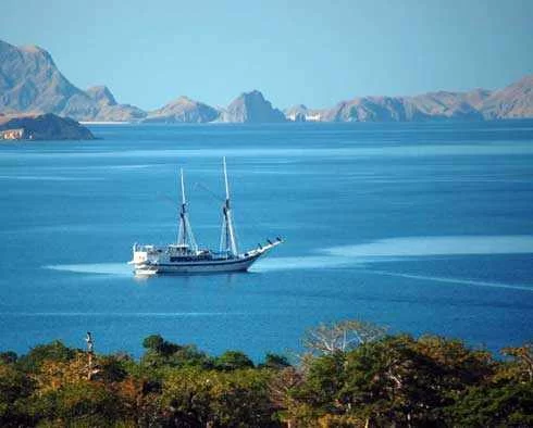 Wildlife Spotting Tours by Yacht in Indonesia: A Unique Adventure