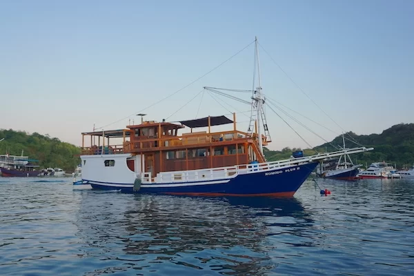 Exclusive Yacht Tours of Indonesia's National Parks: An Unforgettable Journey