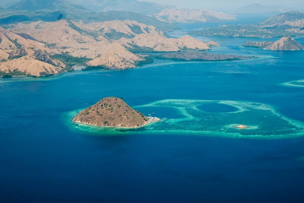 Best Wildlife Encounters on Indonesian Cruises: A Nature Lover’s Dream