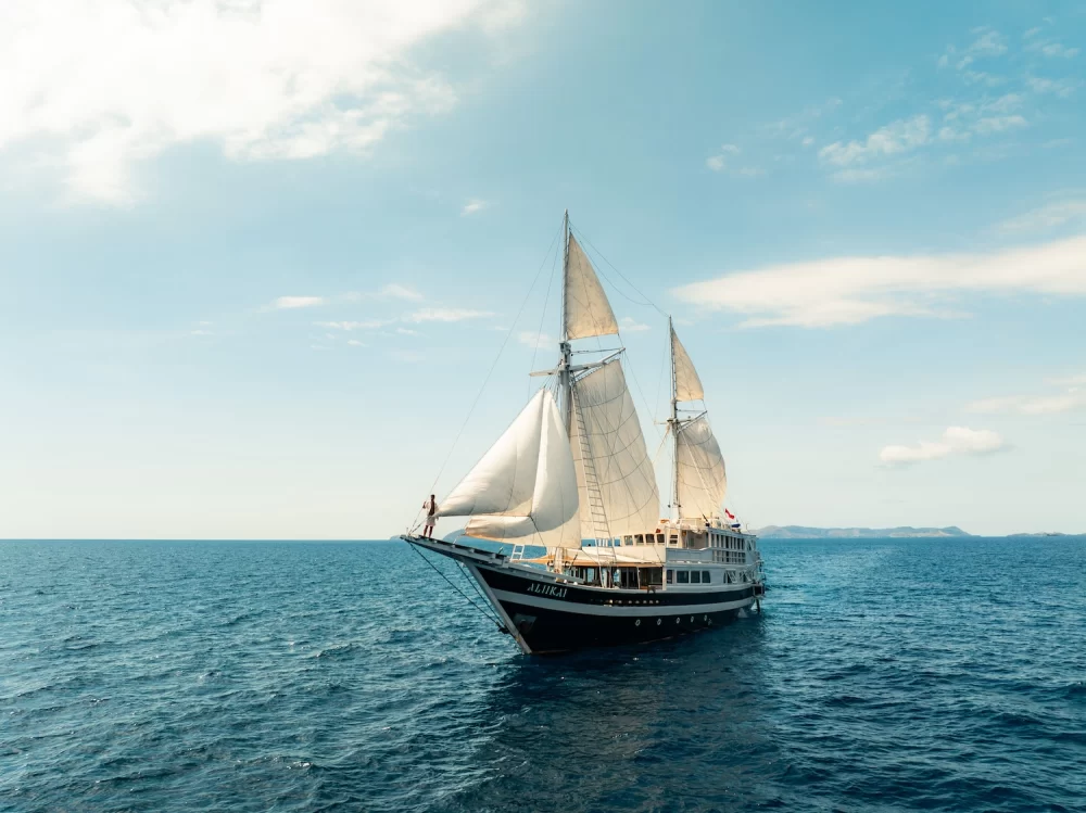 Experience Indonesia’s Biodiversity by Private Yacht: A Luxury Voyage Through Nature’s Wonders
