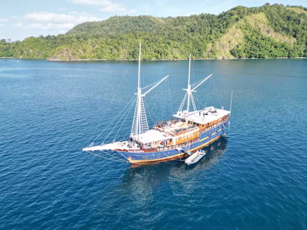 Best Diving Cruises in Indonesia: Explore the Top Underwater Destinations by Sea