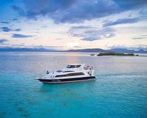 Exploring Raja Ampat’s Stunning Underwater Life on a Luxury Yacht
