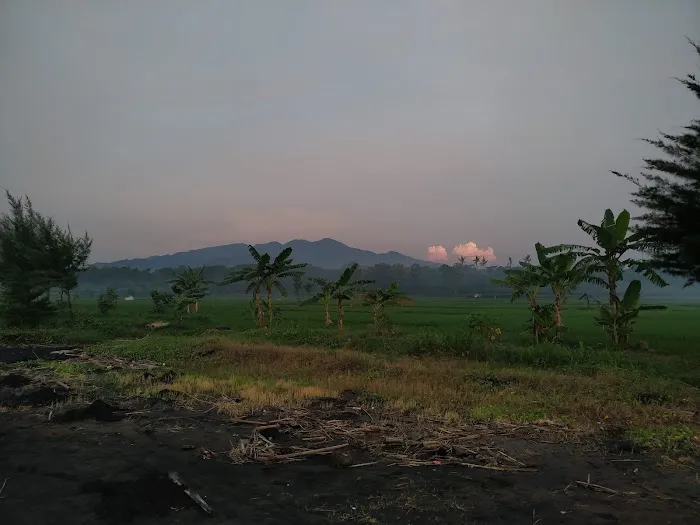 Pantai Jeruk Rejo 0