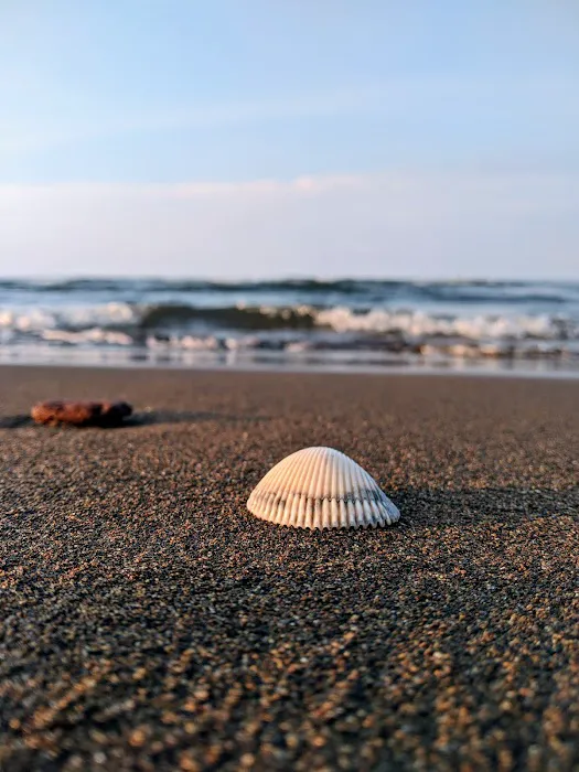 Pantai Jeruk Rejo 6