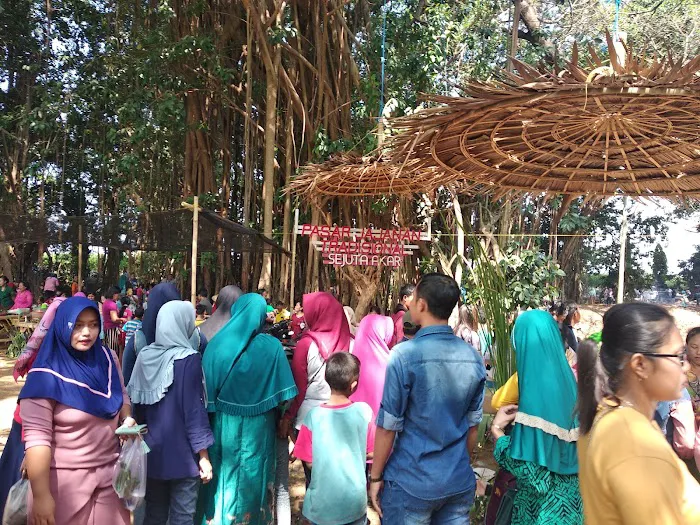 Telaga Sejuta Akar 5