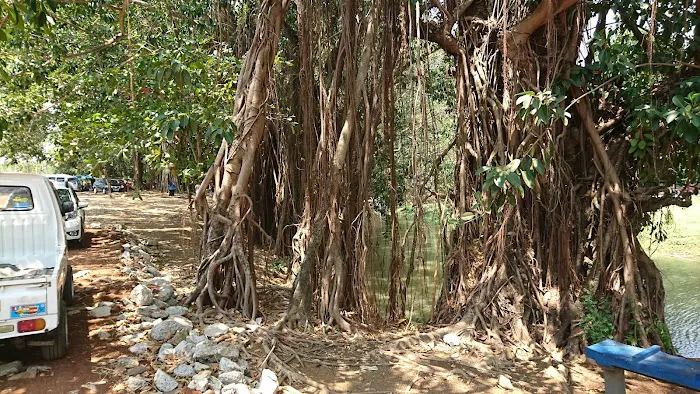 Telaga Sejuta Akar 4