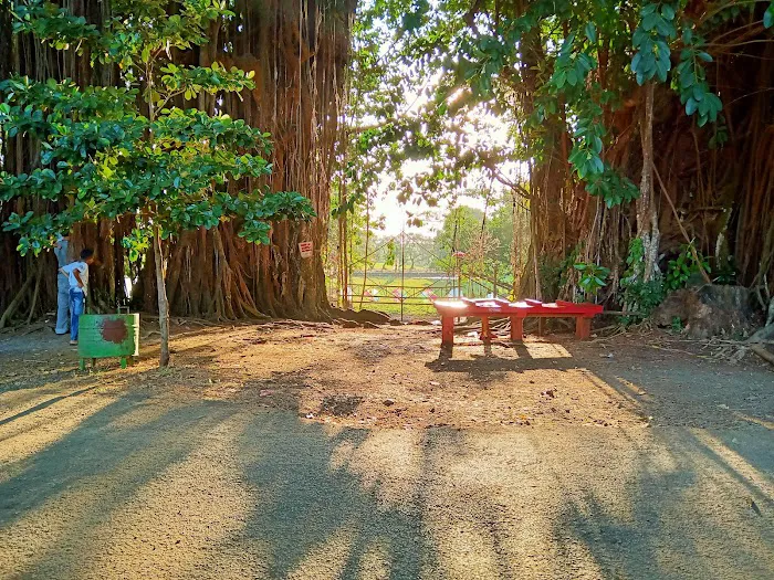 Telaga Sejuta Akar 9