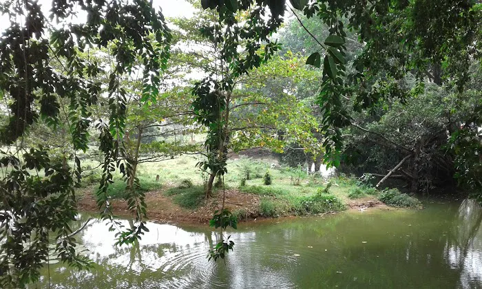 Telaga Sejuta Akar 7