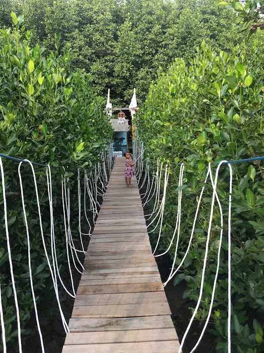 Mangrove Tour SIBAT 5