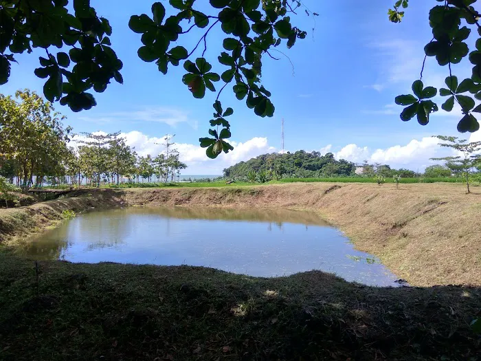 Putri Mandalika Jepara 3