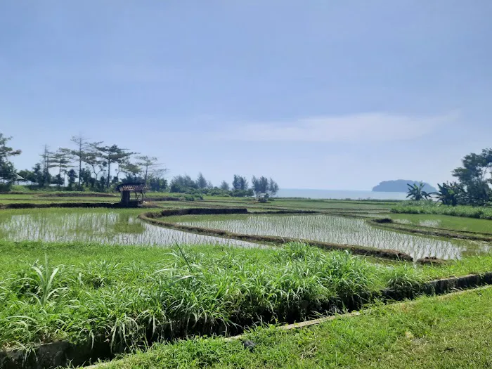 Putri Mandalika Jepara 4