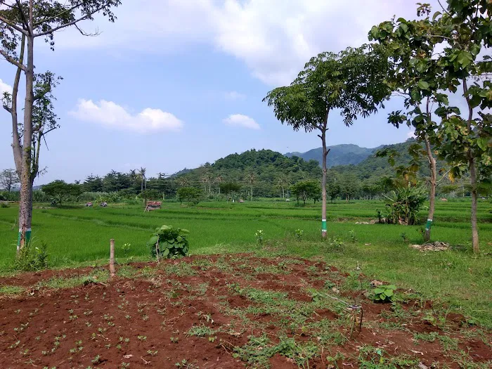 Putri Mandalika Jepara 1