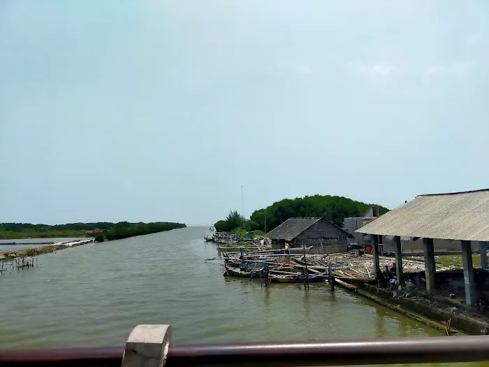 Wisata Hutan Mangrove 1