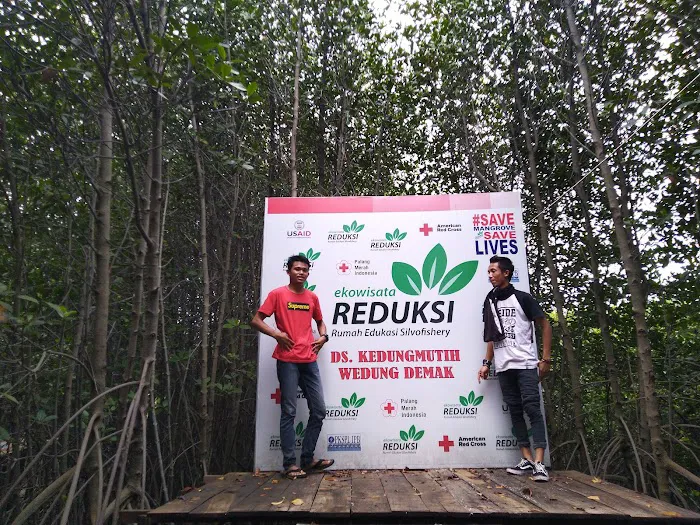 Wisata Hutan Mangrove 9