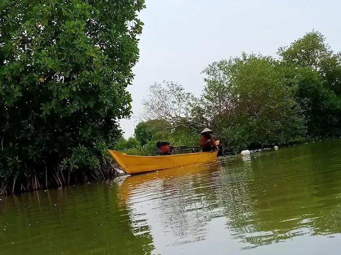 Wisata Hutan Mangrove 2
