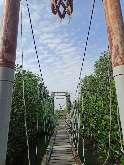 Wisata Hutan Mangrove 0