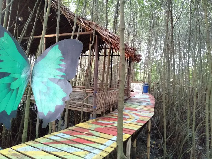 Wisata Hutan Mangrove 8