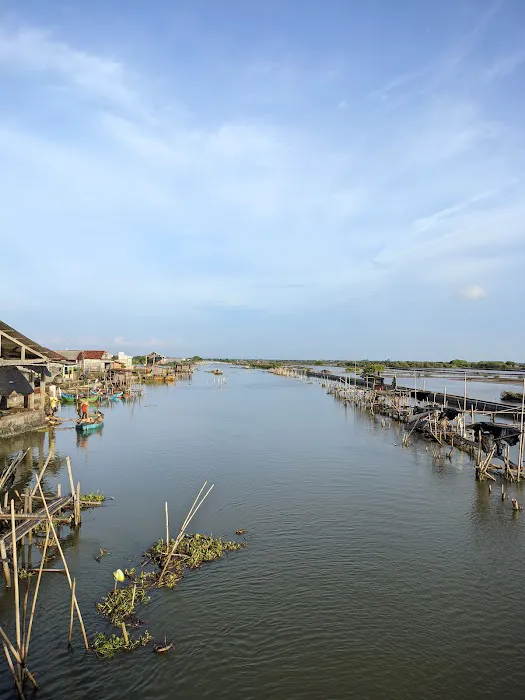 Wisata Hutan Mangrove 4