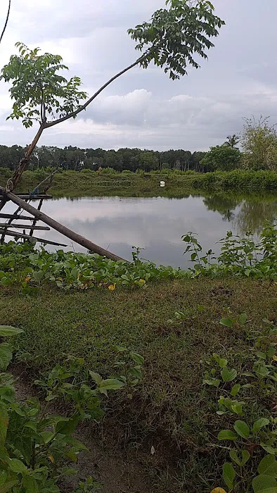 Ujung panreng palie 2