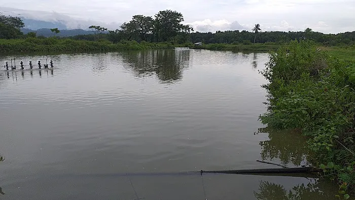 Ujung panreng palie 7