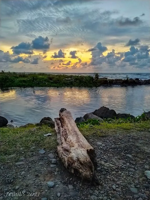 Araamesh beach 0