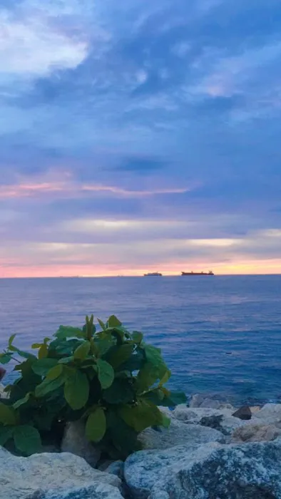 The Icon Outdoor Sea View 1