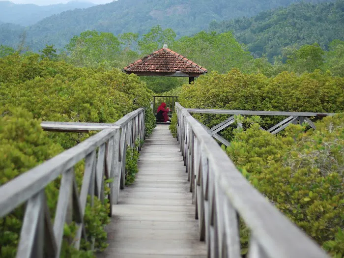 Hutan Mangrove Pancer Cengkrong 2
