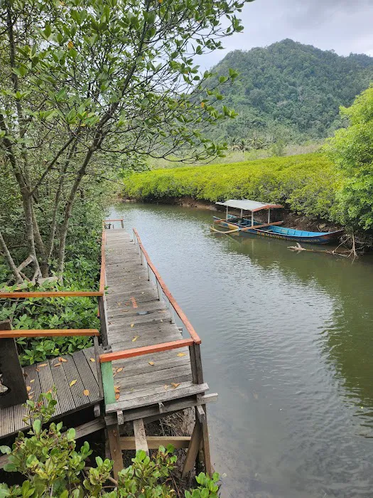 Hutan Mangrove Pancer Cengkrong 7