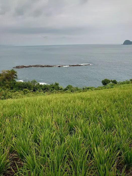 Tebing SongNdruwo 1