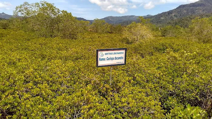 Eco Wisata Mangrove Prigi 9