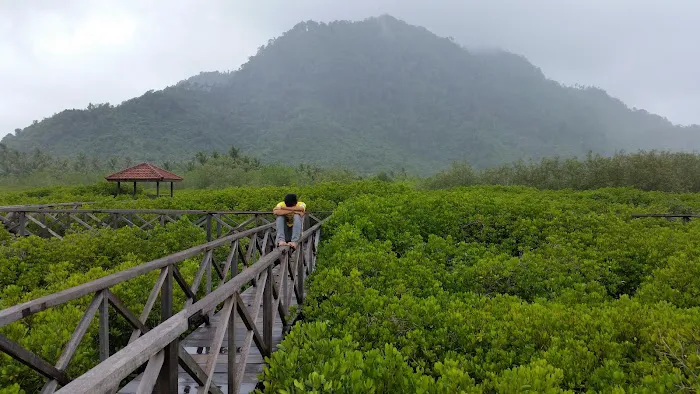 Eco Wisata Mangrove Prigi 4
