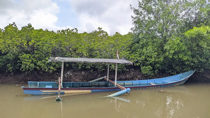 Eco Wisata Mangrove Prigi 1