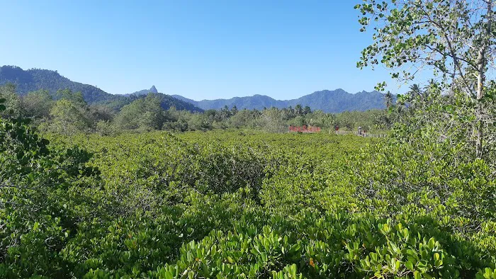 Eco Wisata Mangrove Prigi 8