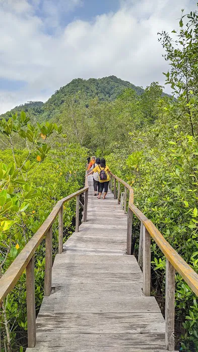 Eco Wisata Mangrove Prigi 3