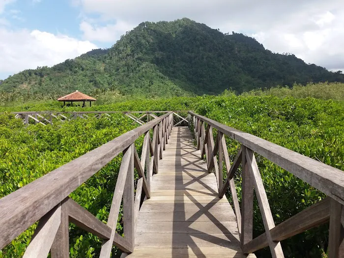 Ekowisata Mangrove Cengkrong 1