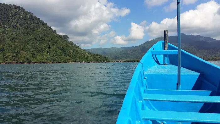 Ekowisata Mangrove Cengkrong 2