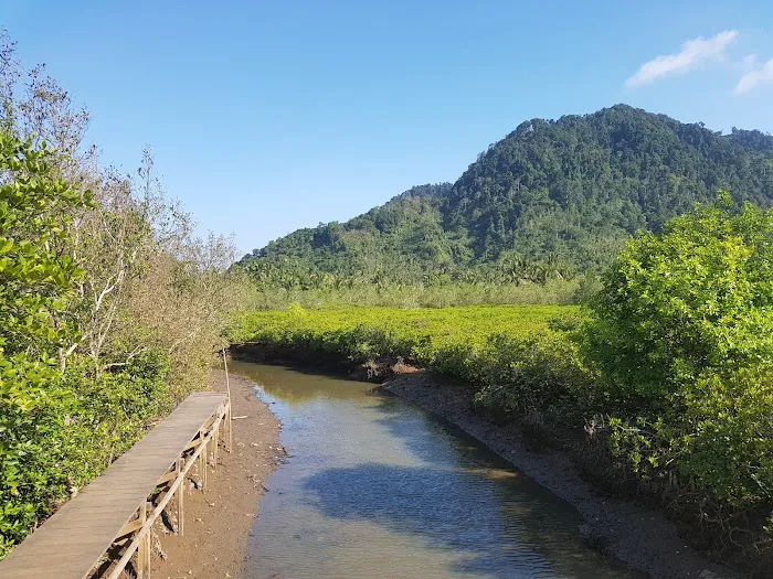 Ekowisata Mangrove Cengkrong 4