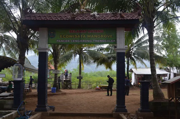 Ekowisata Mangrove Cengkrong 3
