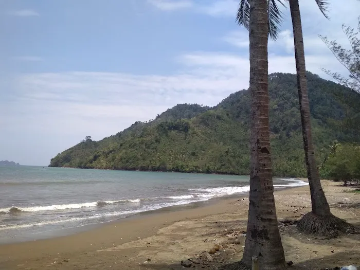 Ekowisata Mangrove Cengkrong 6