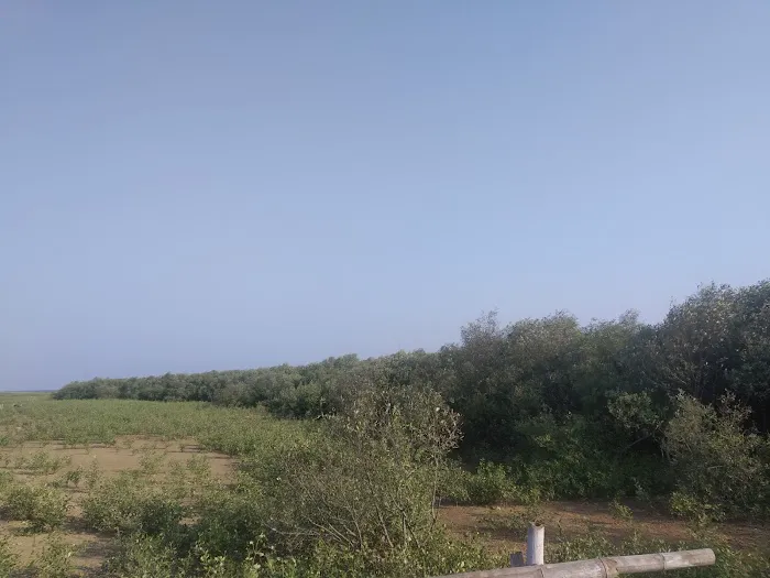Pantai Wisata Sambilawang Trangkil 9