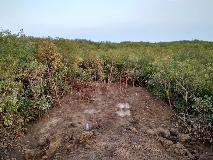 Pantai Wisata Sambilawang Trangkil 4