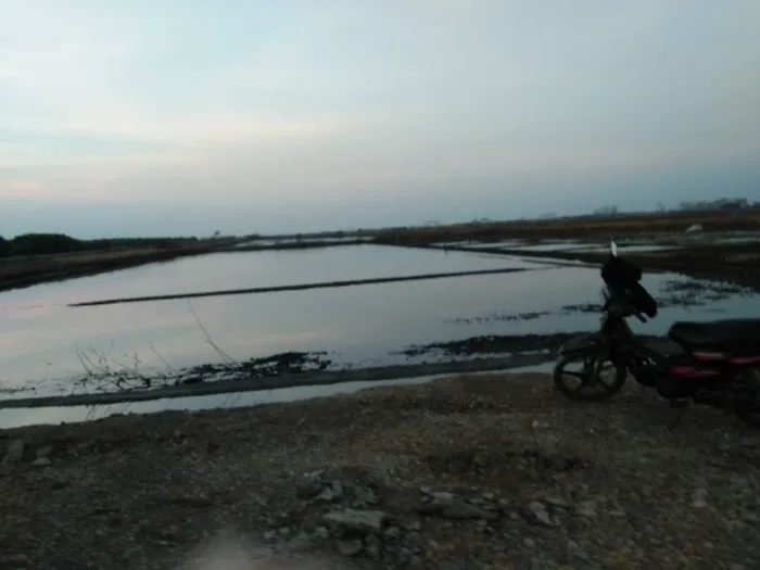 Pantai Wisata Sambilawang Trangkil 2