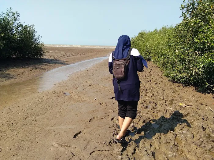 Pantai Wisata Sambilawang Trangkil 6