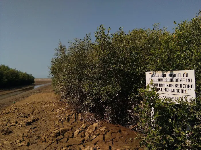Pantai Wisata Sambilawang Trangkil 8