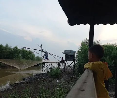 Pesisir Pantai Ds. Dororejo 1.