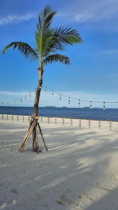 Pantai Aloha 0